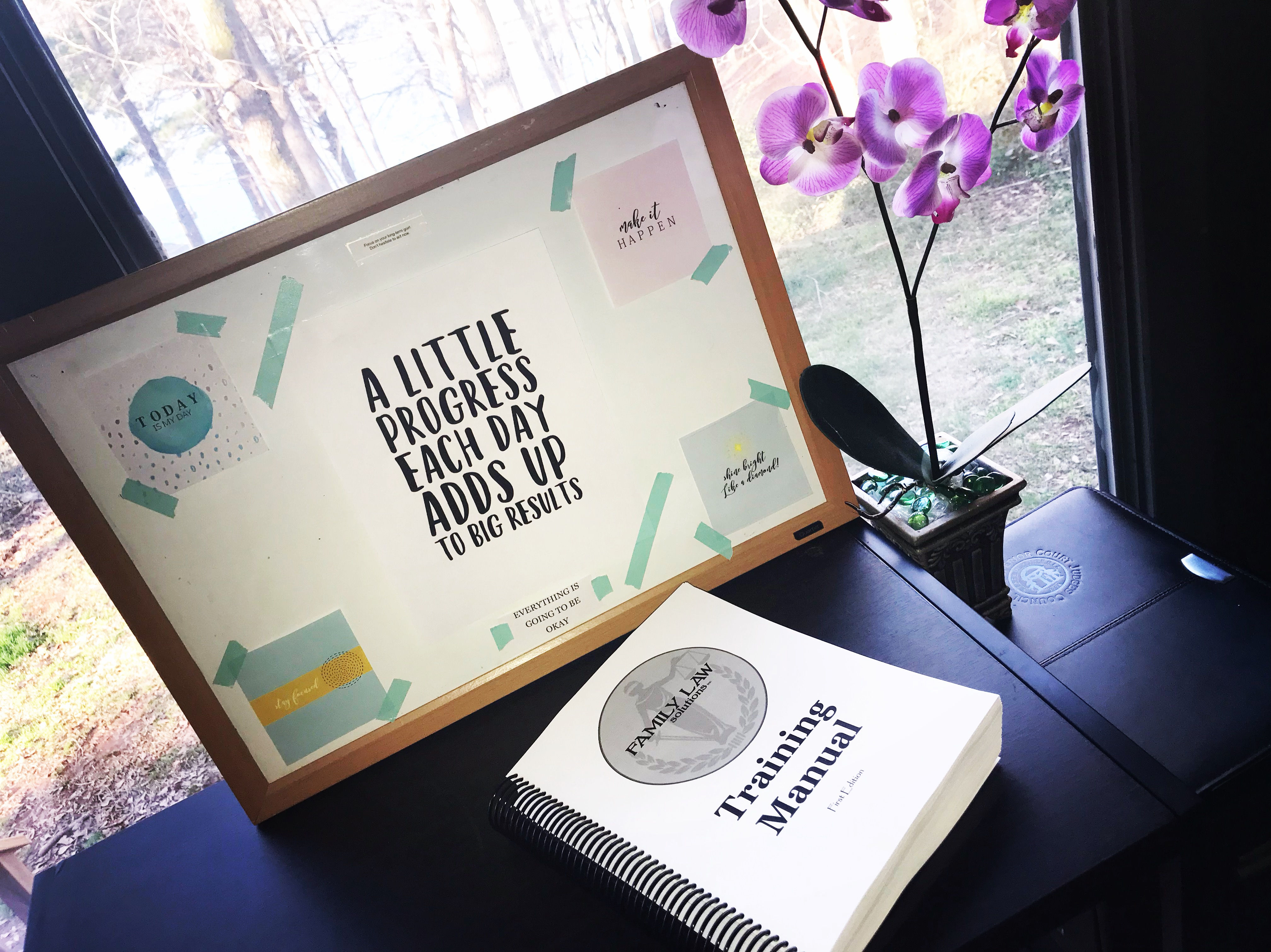 Family Law Solutions Training Manual