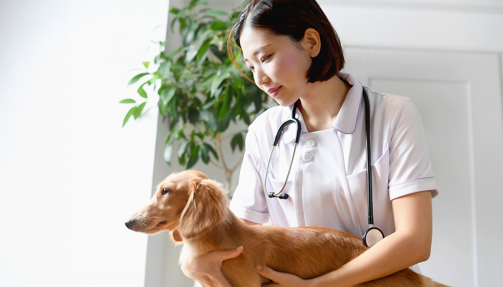 dog-and-nurse.jpg