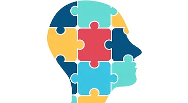 professional ident.webp