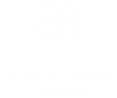 BB logo WHT-01.png
