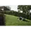 Miniaturbild: Husqvarna Automower® 435X AWD NERA mit kabelloser EPOS® Technologie