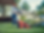 H350-0666.png