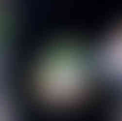 Incredible appetizers at Belle Ame 