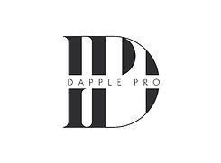 DappleProLogos_Portfolio-02.jpg