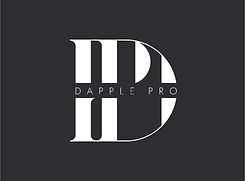 DappleProLogos_Portfolio-04.jpg