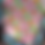 Thumbnail: CLOVER SUNSHINE