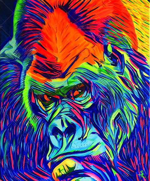 Le gorille dos argenté si mystérieux en fluo