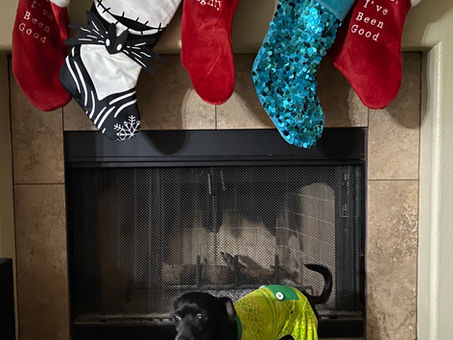 Finding Magic in the Holidays, Whenever You Need It