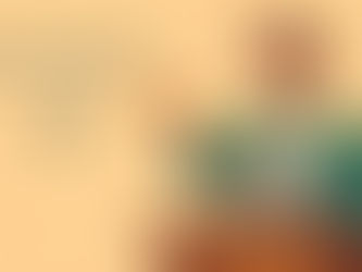 A professional giving a public speech