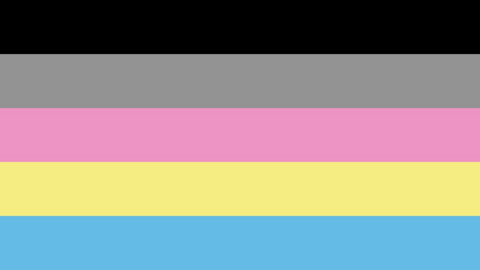 The Ultimate Guide To LGBTQIA Flags 9b4982 68623731884a4c77b5236cab087659c5~mv2