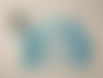 Introducing the Coastal Christmas Collection: Holiday Cheer with a Seaside Twist!