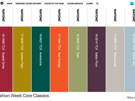 2024 Autumn/Winter Color Trends!