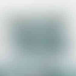 light blue french floral