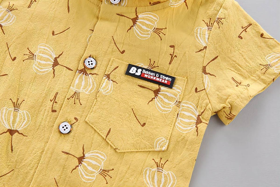 Miniatura: Conjunto Dente de Leão