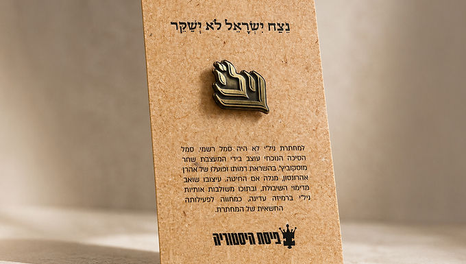 NILI Emblem Metal Pin