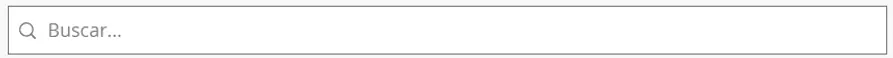search busqueda en el sitio.webp