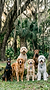 4thAprilGemini_Generated_Image_wxnhwnwxnhwnwxnh.png