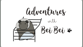 Bei Bei the Syrian
