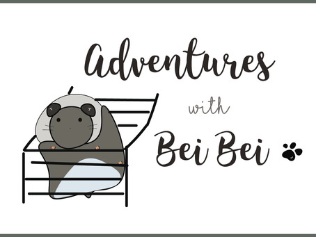 Bei Bei the Syrian