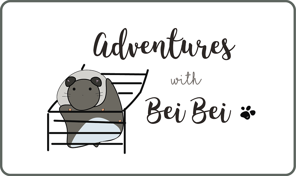 Bei Bei the Syrian 