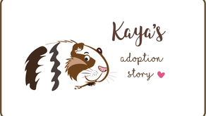 Kaya's Adoption Story