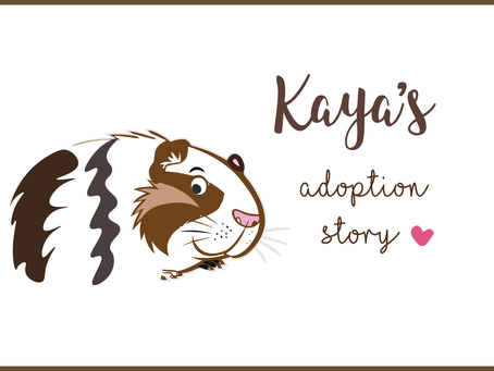 Kaya's Adoption Story