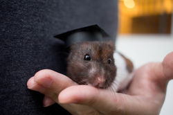 Bei Bei Graduation