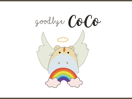 Goodbye Co Co ๐น๐