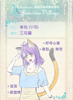 花花角卡
