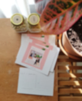 20181108_112117-01.jpeg