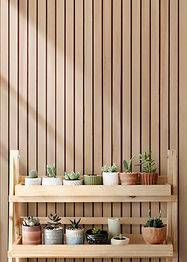wooden-plant-shelf-with-mixed-plants_edited.jpg
