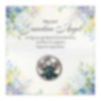 PN118 Guardian Angel Pin