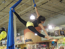 Shaila Split - WholeFoods
