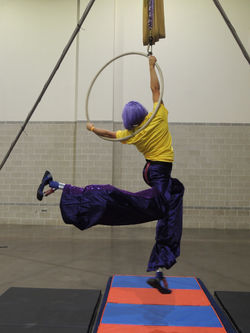 purple hair stilts on lyra