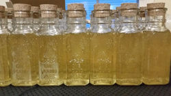 Glass Honeny Jars with 1st Harvest