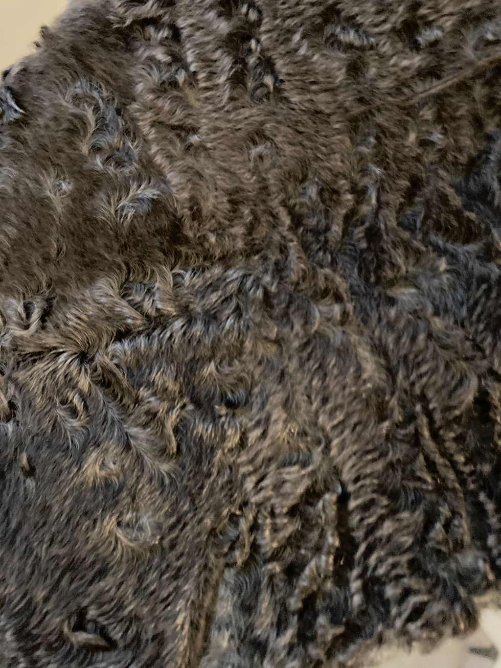 Thumbnail: ASTRACAN / FUR COAT