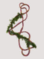Entangled 7 (Forest Dreaming)