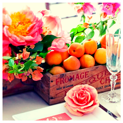 Bodas de Flores: o amor ou florece ou seca