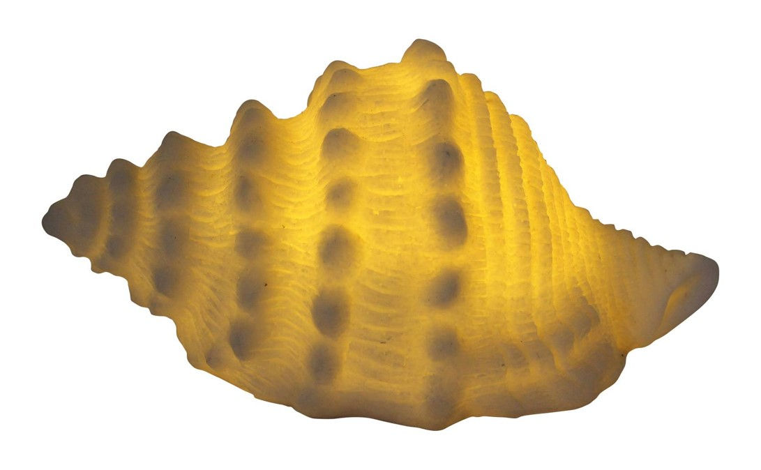 Mini Small Horse Conch Shell Lamp