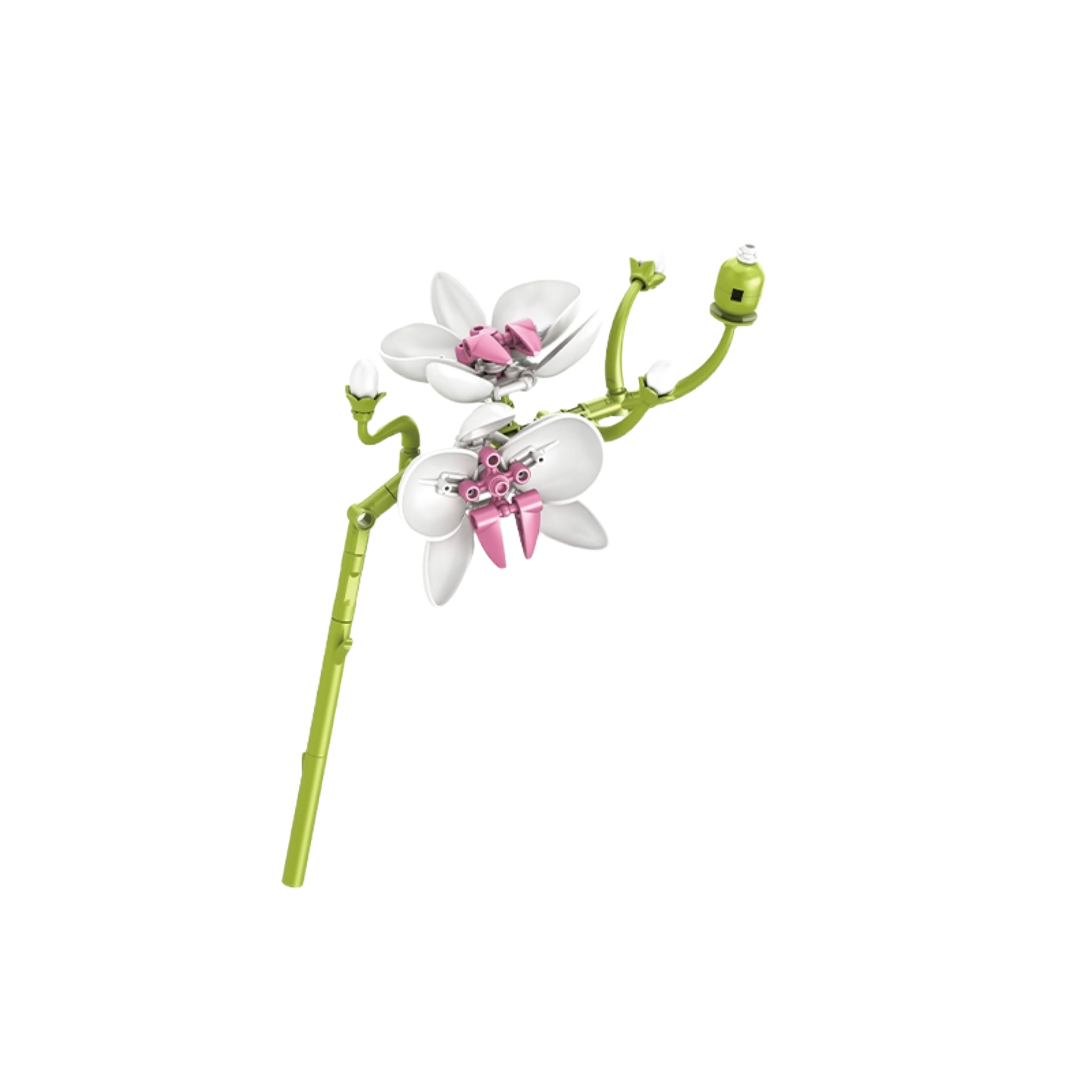 Phalaenopsis 3D Puzzle Building Block Flower