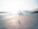 HDR_0001-HDR-Edit.jpg