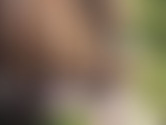 МОНАСТЫРИ КРИТА: ПУТЕВОДИТЕЛЬ ПО СВЯТЫМ МЕСТАМ ОСТРОВА