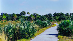 Central Florida Field Trips: Educational Day Trips Beyond the Theme Parks