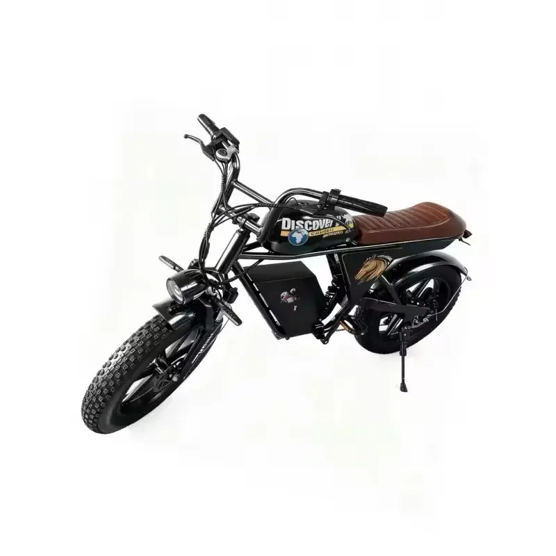 Thumbnail: New 20-inch 4.0 fat tire E-Bike, 750W powerful motor electric bicycle, 48V30AH l