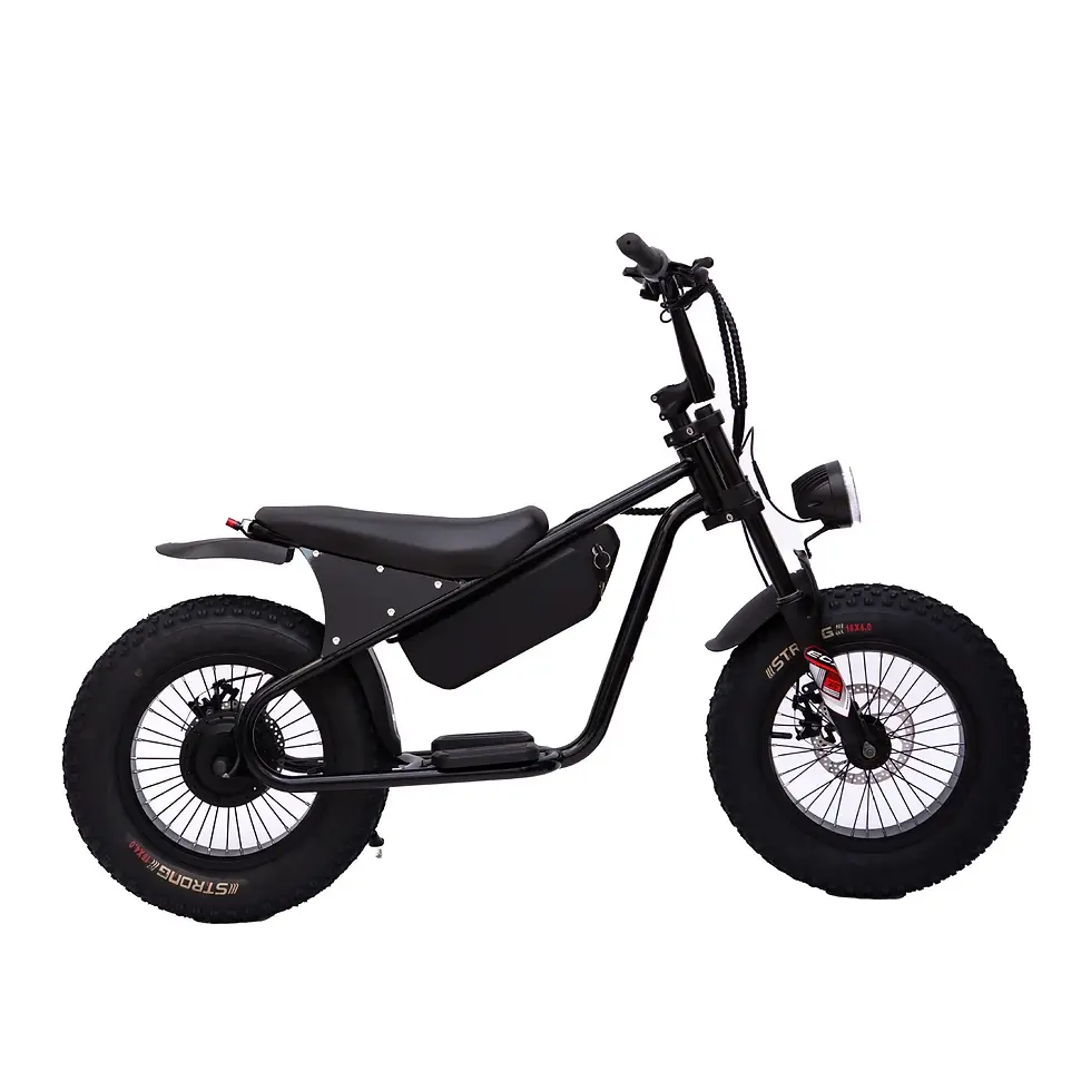Thumbnail: 16-inch retro E-Bike, 800W smart motor children's electric scooter, 48V15AH ener