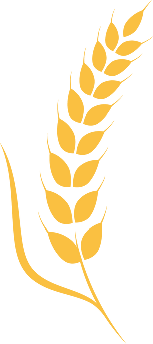 Asset 2.png