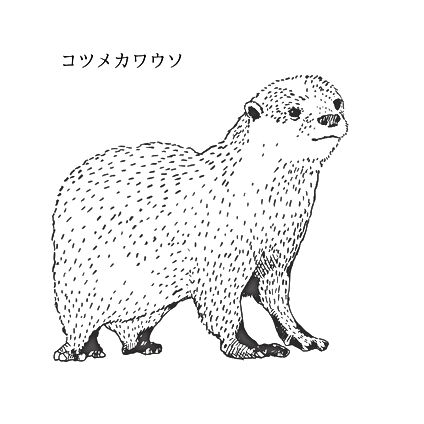 動物 イラスト Ameno 動物 イラスト Ameno