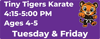 Tiny Tigers Karate.png