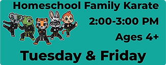 Homeschool karate.png