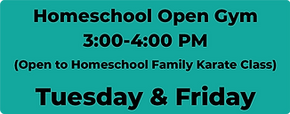 Homeschool karate 2.png
